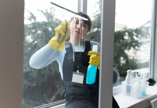 Nettoyage de vitres intérieures et extérieures à Saint-Pierre-de-Soucy